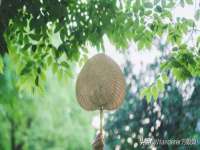 山西瑞蕙昌新型建材有限公司