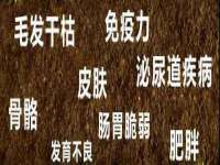 山西瑞蕙昌新型建材有限公司