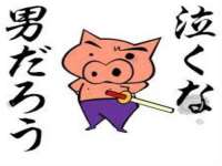 山西瑞蕙昌新型建材有限公司