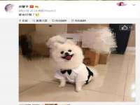 山西瑞蕙昌新型建材有限公司