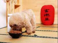 山西瑞蕙昌新型建材有限公司