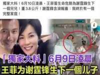 山西瑞蕙昌新型建材有限公司