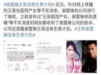 山西瑞蕙昌新型建材有限公司
