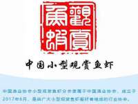 山西瑞蕙昌新型建材有限公司