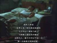 山西瑞蕙昌新型建材有限公司
