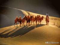 山西瑞蕙昌新型建材有限公司