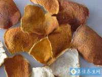 山西瑞蕙昌新型建材有限公司