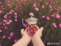 山西瑞蕙昌新型建材有限公司