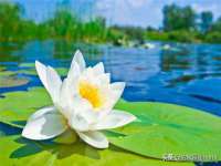 山西瑞蕙昌新型建材有限公司