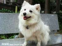 山西瑞蕙昌新型建材有限公司