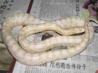 山西瑞蕙昌新型建材有限公司