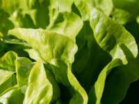 山西瑞蕙昌新型建材有限公司