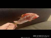 山西瑞蕙昌新型建材有限公司